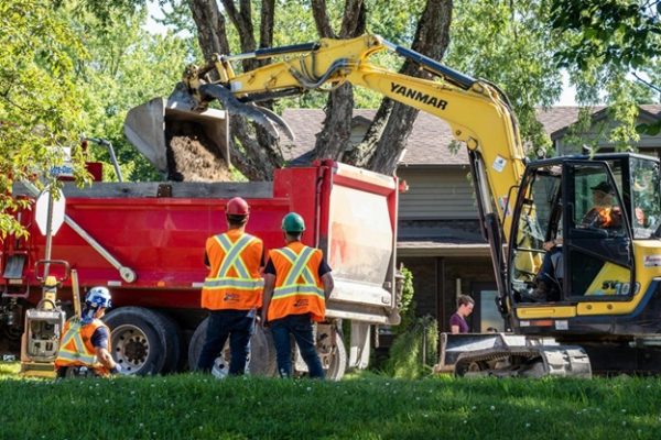 How to Protect Trees and Landscaping During Demolition