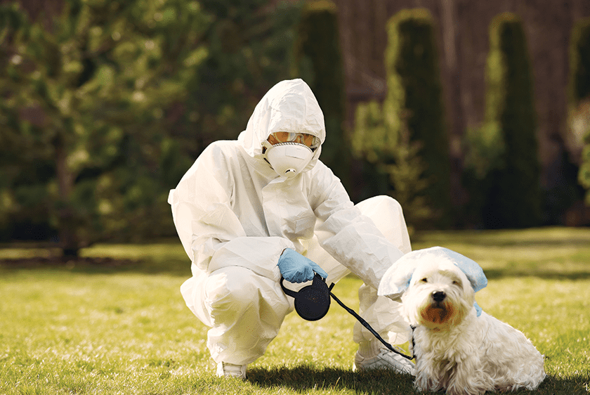 Pest Control for Pet Owners in Damascus: Safe and Effective Solutions for Your Furry Friends