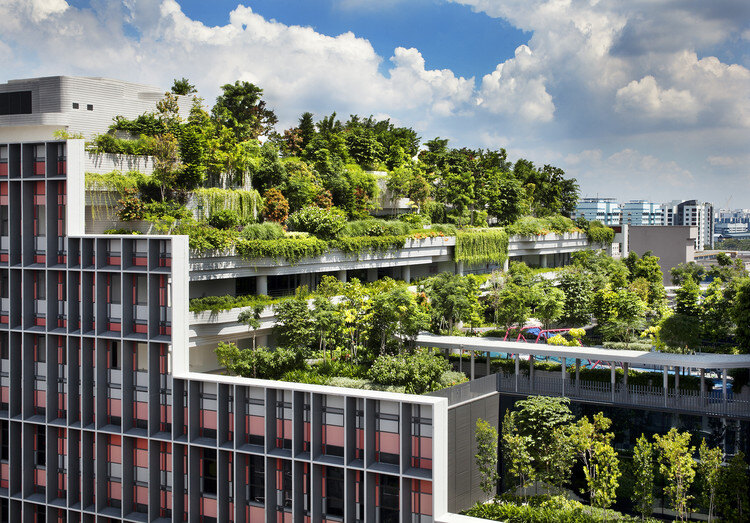 Transforming Green Spaces with Landscape Contractor Singapore